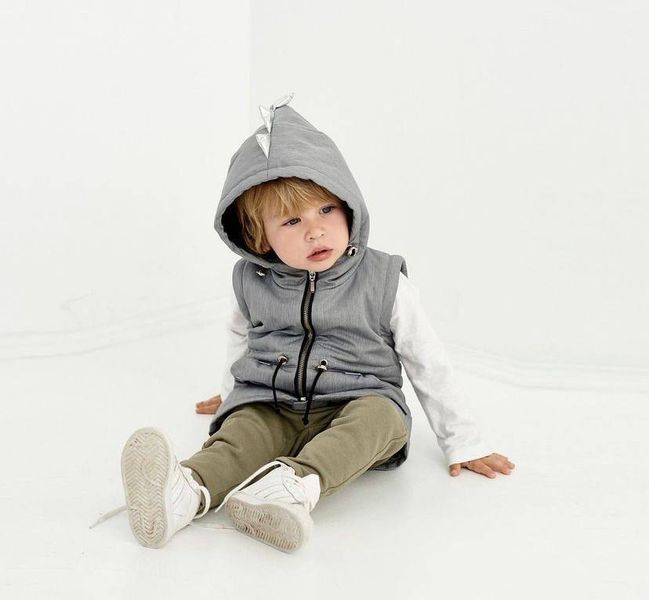 Демі парка Сіра DINO Decoza Moms (parka122128-O045-pl016-SHP) parka122128-O045-pl016-SHP фото